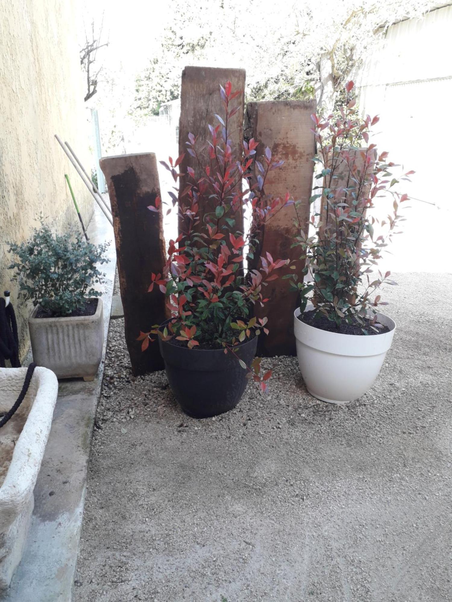 Agreable Studio Pres De St Remy De Provence Eyragues Exterior photo